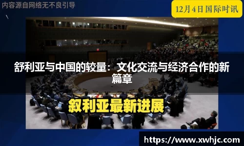 舒利亚与中国的较量：文化交流与经济合作的新篇章
