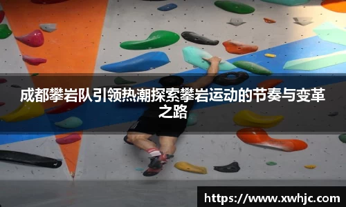 球速体育平台